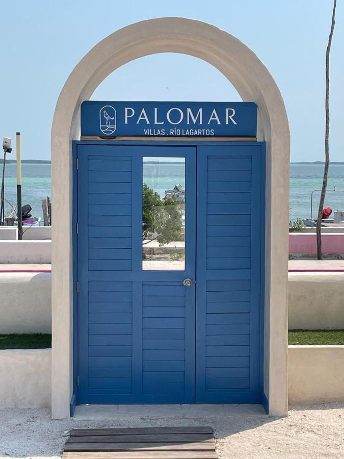 Palomar Villas Rio Lagartos Bagian luar foto