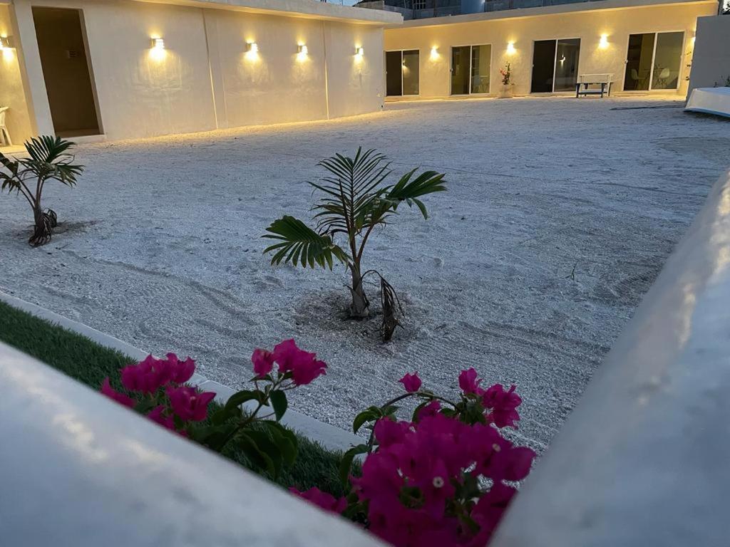 Palomar Villas Rio Lagartos Bagian luar foto